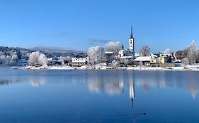 Wellness & Spa Apartments Lipno - Frymburk